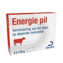 852107624_Energie-Pil-4st_5701170337624.jpg